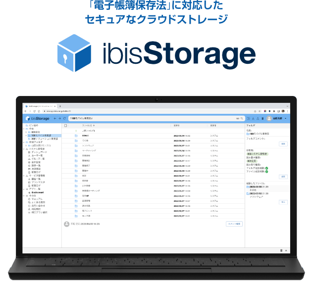Secure cloud storage for the 